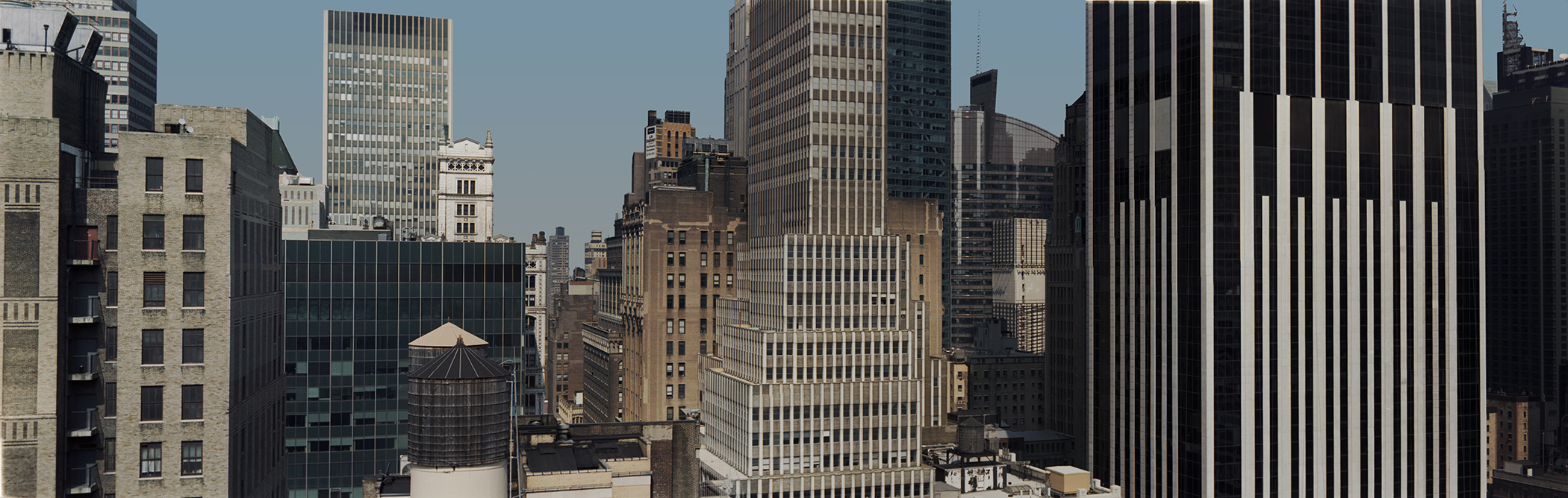 nyc_pano_071119-4R-LF.jpg