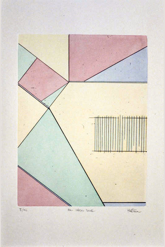 zinc plate etching, hand coloured - 12