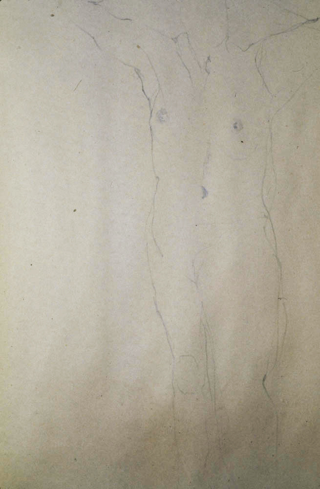 graphite on manila paper - 30